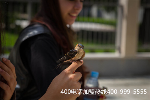 (400電話優勢成為企業服務的保障是什么)(企業申請400電話在招聘人才倍受關注)